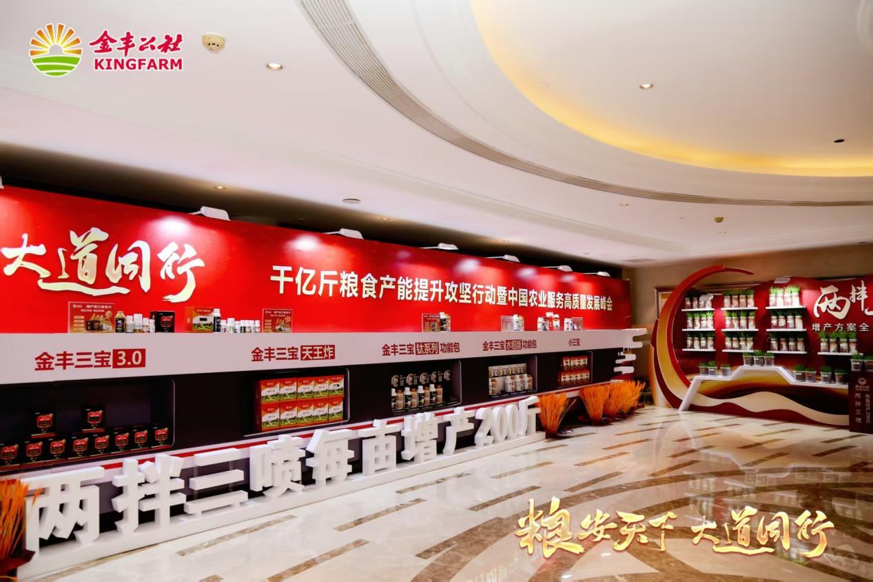从中国粮仓到世界餐桌:金丰公社农业服务模式的全球征途